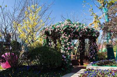 《中國新歌聲》青浦賽區4月8日即將震撼開唱!-上海房訊-買房大師