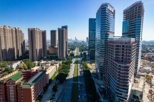 上海國際信托 信托業務 三分類 賦能構建房地產發展新模式