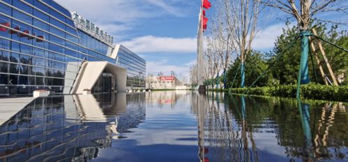 大興區領導到大興國際氫能示范區調研