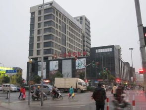 上海金鼎香樟苑：配套實景、樣板間與戶型全解析